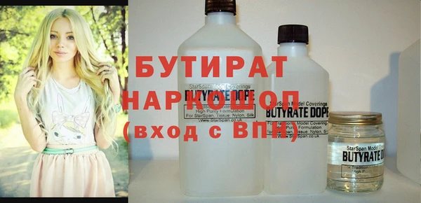 индика Мегион