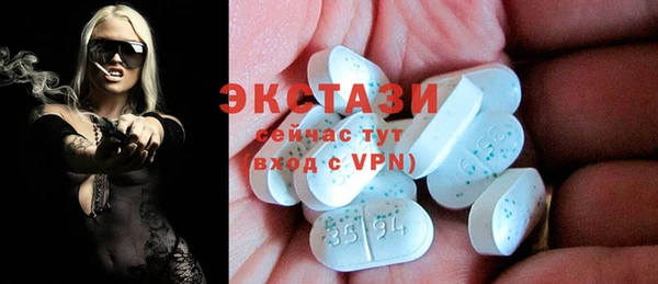 индика Мегион