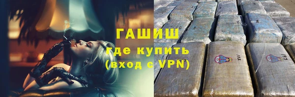 индика Мегион