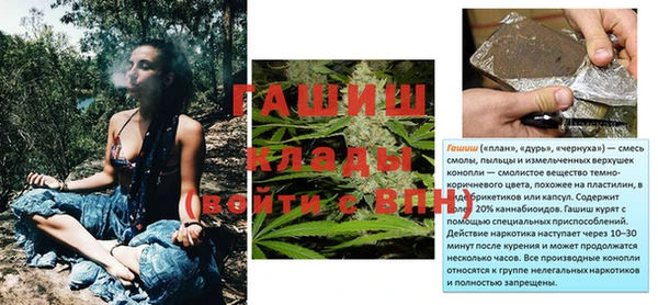 индика Мегион