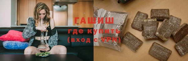 индика Мегион