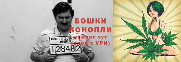 индика Мегион