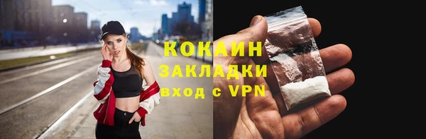 индика Мегион