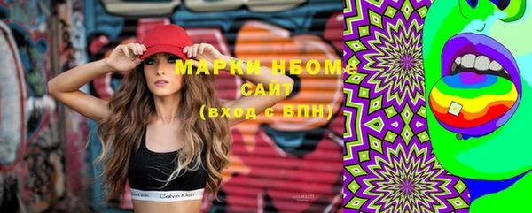 индика Мегион