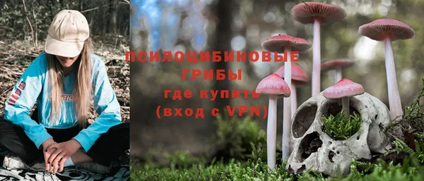 jwh Медногорск