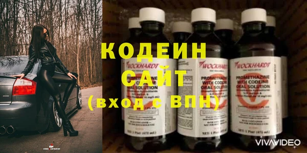 индика Мегион