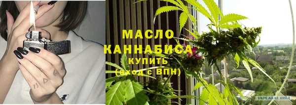 индика Мегион