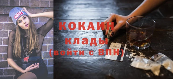 индика Мегион