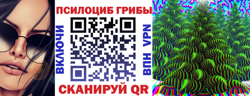 даркнет Telegram  Севастополь  Галлюциногенные грибы ЛСД 