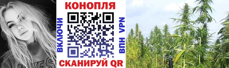 Шишки марихуана марихуана Севастополь